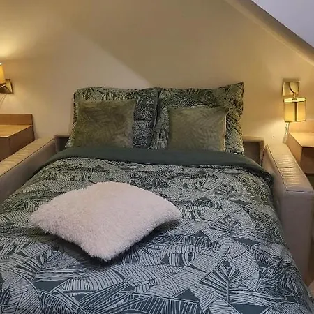 Homestay Accommodati On 5 Minutes From The Center Mechelen